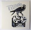 Tercelvoice: Vinyl + Riso Print