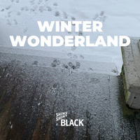 Winter Wonderland by Shiny Shiny Black
