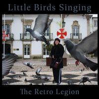 Little Birds Singing by Brian Turner