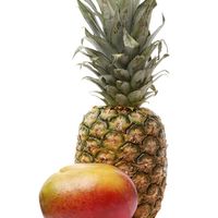 Pineapple/Mango Bath Bombs