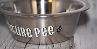 Future Pee/Poop Stainless Steel Bowls