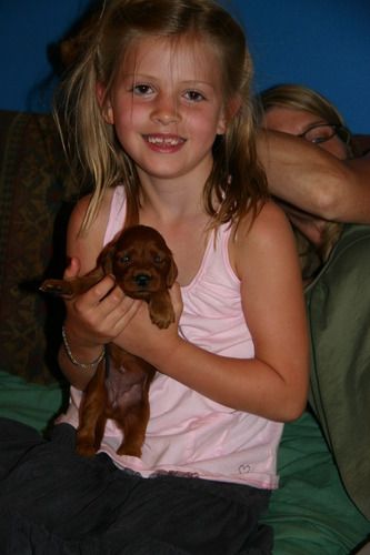 Granddaughter Sofie, just loves these pups.
