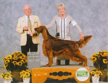 This was the last time I showed Izzie in the Breed. Monica took over and the rest is history...as they say.
