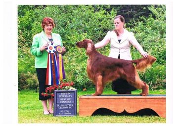 Shown going Best of Breed at a Specialty in Canada. Way to go Kris. You are really growing up.
