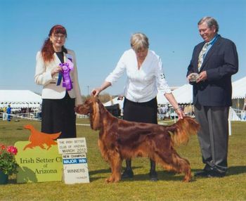 Margaux is shown finishing with her 3rd major at the Irish Setter of Arizona Specialty in Feb. 2012. We are so proud of this lovely moving girl, with the most delightful temperament one could ever ask for.
