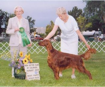 A lovely Best Puppy Award at the ISC Colorado Specialty. 8/11

