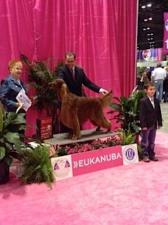 Pictured having his BOB picture at Eukanuba.  Note his very cute son in the picture!
