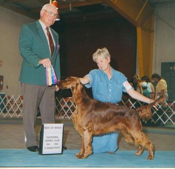 Shown going Best of Breed over Specials at 13 months.
