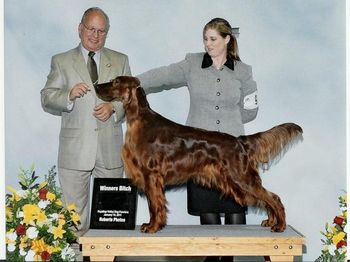 Maggie taking a major under Judge Sid Marx. Her brother Kristopher won the Breed that same day.
