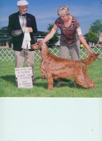 Another Best In Veteran Sweeps under Pat Jordan who had some fabulous dogs, and who's 2 son's Dennis, and Shaun have carried on the tradition of exhibiting exquisite dogs.
