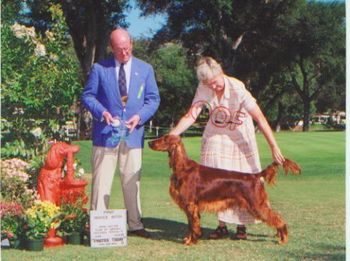 Shown winning the Novice Bitch class at the San Diego National.
