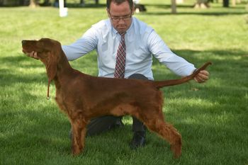 Marlie being stacked by Doug Carlson who handles Torrey.
