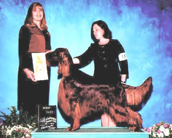 Bailey, shown at 3 years old taking a Group III.
