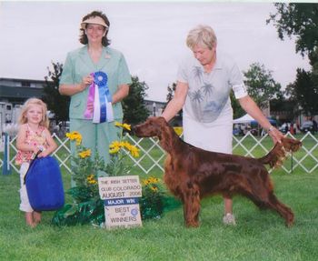 Wylie taking a Specialty major at the Irish Setter Club of Colorado. Our granddaughter, Sofie, is holding the trophy. She absolutely loves dog, and playing "show dog". Chip off the "old" block!!
