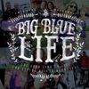 Big Blue Life - 2015: CD