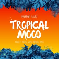 Tropical Mood by Premium Loops
