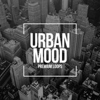Urban Mood by Premium Loops