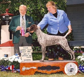 Sherman now lives with us and is co-owned by K. and N Xiong. Sherman Finished his Championship with a Specialty 4 Point Major BOW fom the BBE Class! NSS AOM Winner breeder/owner handled and a Best In Specialty show winner. Multiple Group Placements. View Sherman's Page
