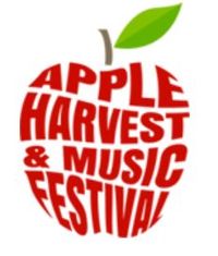 SVE (Duo) @ The Glastonbury Apple Harvest Festival
