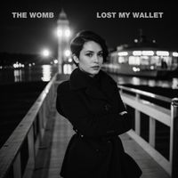 Lost My Wallet by The Womb