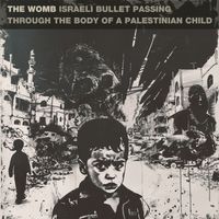 Israeli Bullet Passing Through The Body Of A Palestinian Child by The Womb