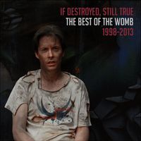 If Destroyed, Still True (The Best Of The Womb, 1998-2013) by The Womb