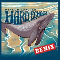 Hard Echoes-Remix by windchilfacter