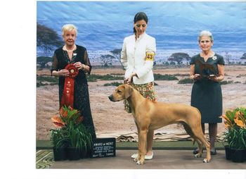 GCH. Ivy League's No Place Like Home earning an AOM at 2012 National Specialty under respected breeder judge Barbara Rupert
