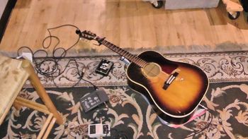 Danny's sweet Gibson relaxing on the carpet before the KGNU set.
