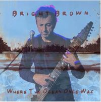 Bright Brown Live Broadcast