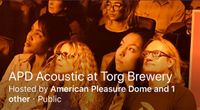 American Pleasure Dome (Acoustic)