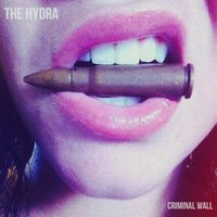 Criminal Wall by The Hydra