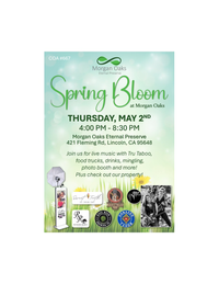 TruTABOO - Spring Bloom at Morgan Oaks, LINCOLN