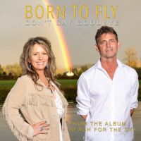 Don't Say Goodbye by Born To Fly