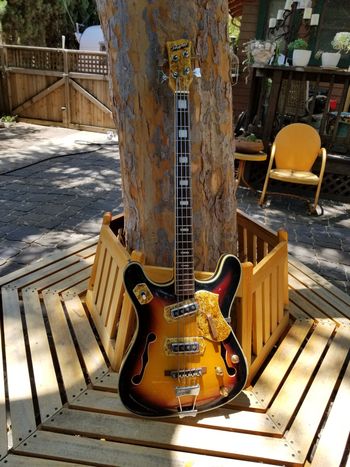 My wacky 1960s "Royal Artist " (Japan) bass. Looks goofy, sounds great. Strung up with 1960s era Hofner short scale flatwounds. a true pawnshop special !
