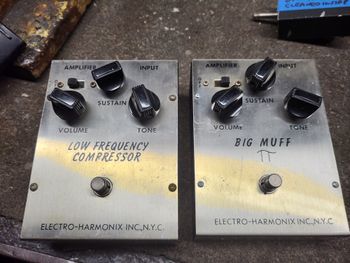 a pair of rare Electro Harmonix pedals.
