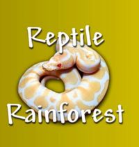 Reptile Rainforest @ Mississauga Reptile Expo