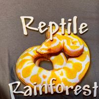 Reptile Rainforest T-Shirts (limited)