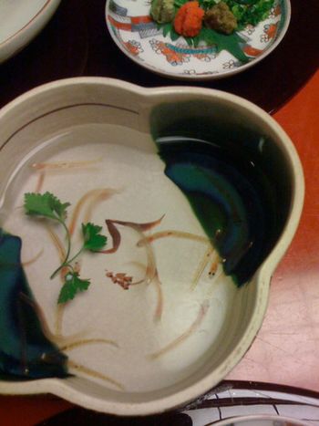 These are live fish I was supposed to eat in Japan. Check out the Japan Trip blog entries for more info.
