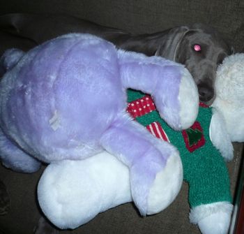 KAEDE snuggling with Bunny and Teddy
