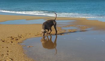 Reflections at the beach - July 2015.
