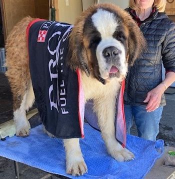 Rush toweling off after his bath before the show
