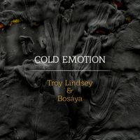 Cold Emotion: CD