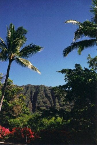 Makaha Valley, Oahu

