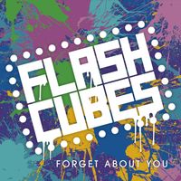 Forget About You by The Flashcubes