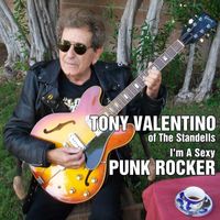 I'm A Sexy Punk Rocker by Tony Valentino