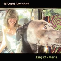 Bag Of Kittens (2020 Reissue) by Allyson Seconds