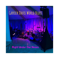World Blues: Study Tracks by Garrick Davis World Blues