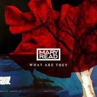 What Are They by Mary Read