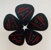 Limited Collector's Edition - Steven "Shredder" Sunnarborg Guitar Pics